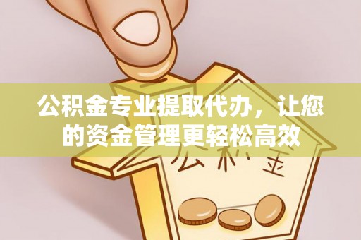 玉龙公积金专业提取代办，让您的资金管理更轻松高效