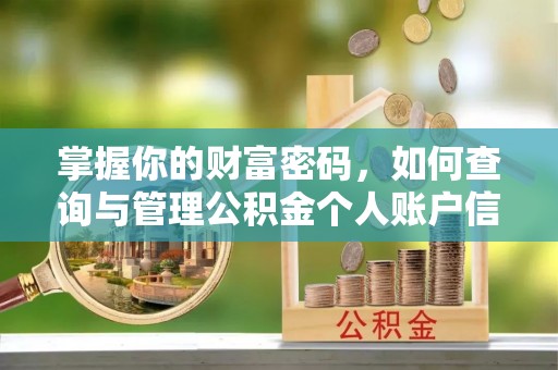 玉龙掌握你的财富密码，如何查询与管理公积金个人账户信息