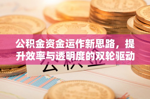 玉龙公积金资金运作新思路，提升效率与透明度的双轮驱动