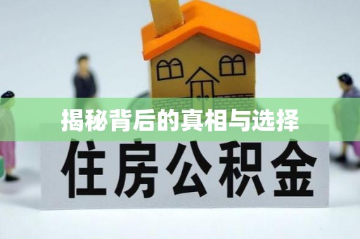 玉龙揭秘背后的真相与选择