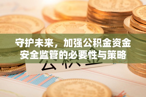 玉龙守护未来，加强公积金资金安全监管的必要性与策略