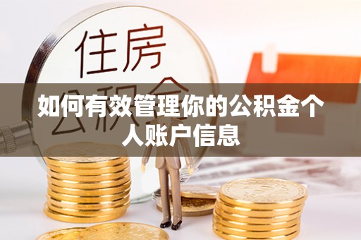 玉龙如何有效管理你的公积金个人账户信息