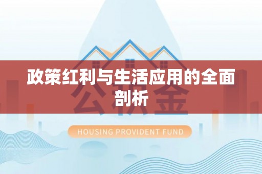 玉龙政策红利与生活应用的全面剖析