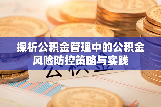 玉龙探析公积金管理中的公积金风险防控策略与实践