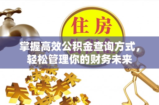 玉龙掌握高效公积金查询方式，轻松管理你的财务未来