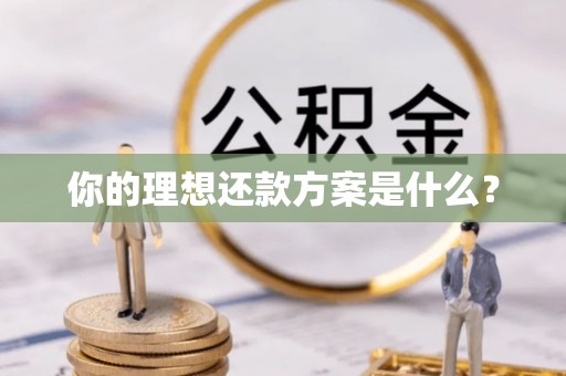 玉龙你的理想还款方案是什么？