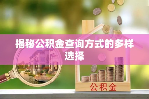 玉龙揭秘公积金查询方式的多样选择