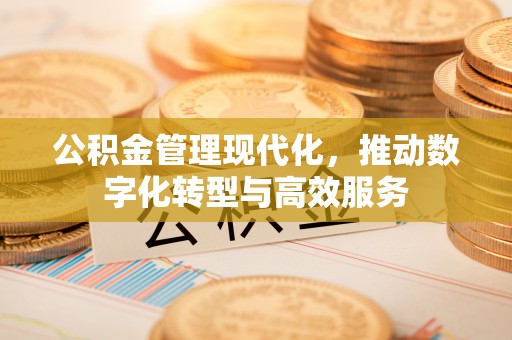 玉龙公积金管理现代化，推动数字化转型与高效服务