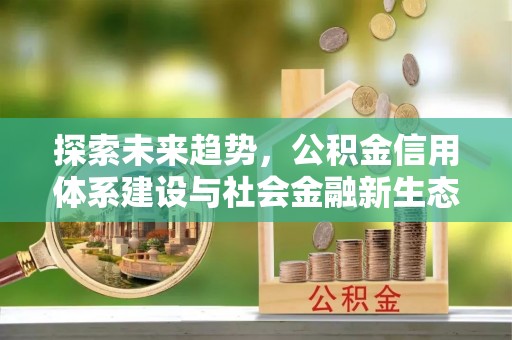 玉龙探索未来趋势，公积金信用体系建设与社会金融新生态