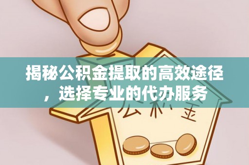 玉龙揭秘公积金提取的高效途径，选择专业的代办服务