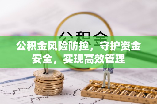 玉龙公积金风险防控，守护资金安全，实现高效管理