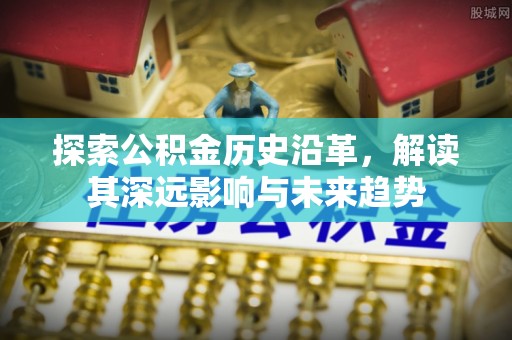玉龙探索公积金历史沿革，解读其深远影响与未来趋势