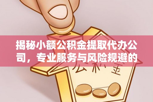 玉龙揭秘小额公积金提取代办公司，专业服务与风险规避的平衡艺术