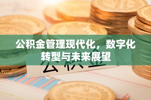 玉龙公积金管理现代化，数字化转型与未来展望