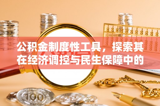 玉龙公积金制度性工具，探索其在经济调控与民生保障中的重要作用