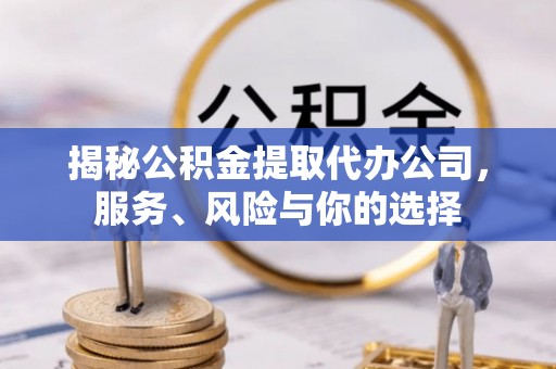 玉龙揭秘公积金提取代办公司，服务、风险与你的选择