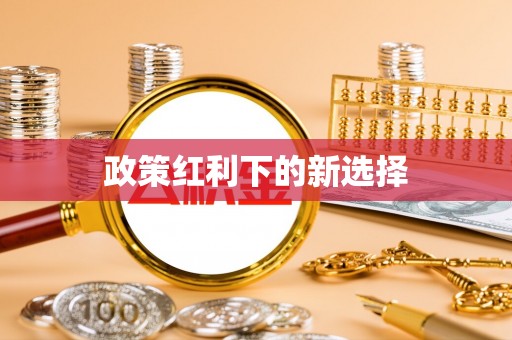玉龙政策红利下的新选择