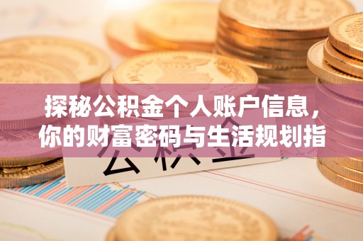 玉龙探秘公积金个人账户信息，你的财富密码与生活规划指南