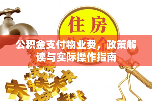 玉龙公积金支付物业费，政策解读与实际操作指南