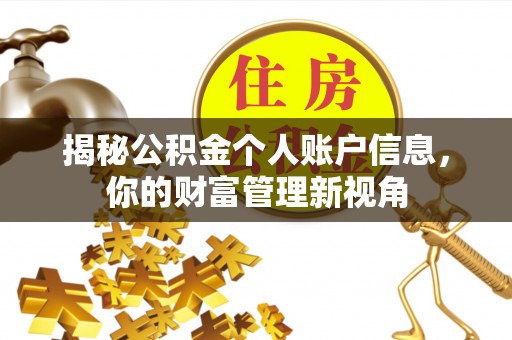 玉龙揭秘公积金个人账户信息，你的财富管理新视角