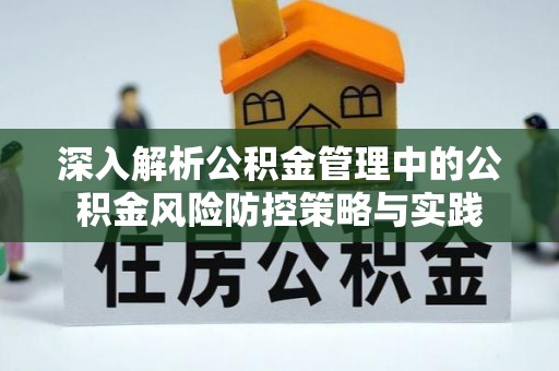 玉龙深入解析公积金管理中的公积金风险防控策略与实践