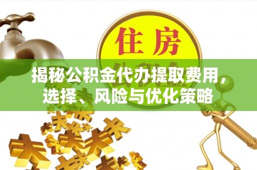 玉龙揭秘公积金代办提取费用，选择、风险与优化策略