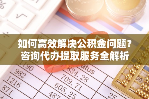 玉龙如何高效解决公积金问题？咨询代办提取服务全解析