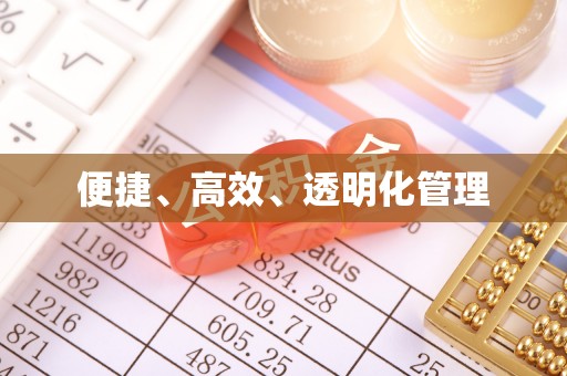 玉龙便捷、高效、透明化管理