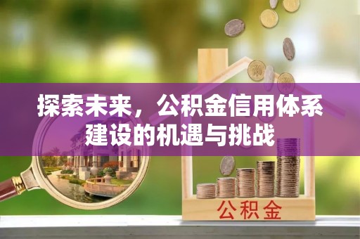 玉龙探索未来，公积金信用体系建设的机遇与挑战