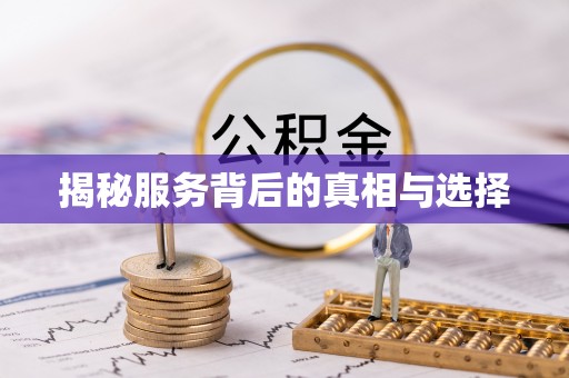 玉龙揭秘服务背后的真相与选择