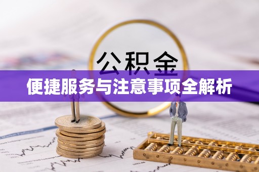 玉龙便捷服务与注意事项全解析