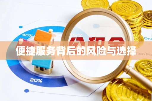 玉龙便捷服务背后的风险与选择