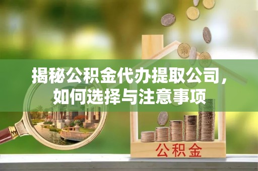 玉龙揭秘公积金代办提取公司，如何选择与注意事项