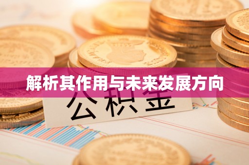 玉龙解析其作用与未来发展方向