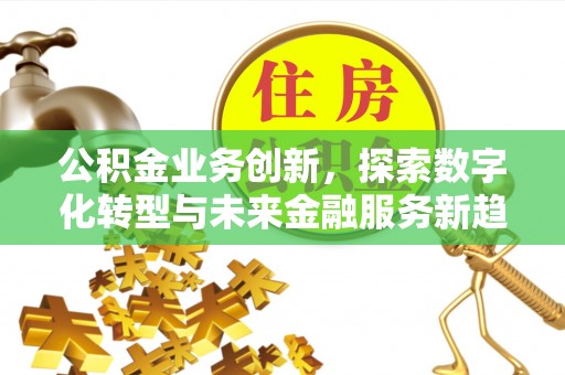 玉龙公积金业务创新，探索数字化转型与未来金融服务新趋势