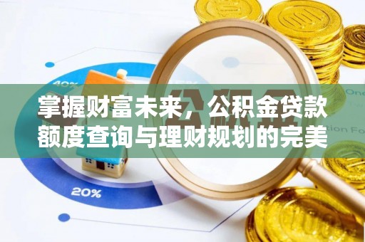 玉龙掌握财富未来，公积金贷款额度查询与理财规划的完美结合