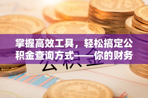玉龙掌握高效工具，轻松搞定公积金查询方式——你的财务助手