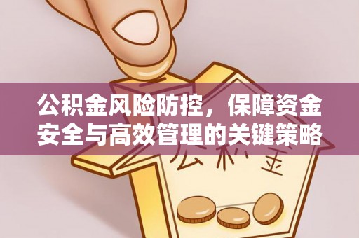 玉龙公积金风险防控，保障资金安全与高效管理的关键策略